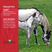 Thumbnail for AniMed Pure MSM Supplement for Horses, 1-Pound…