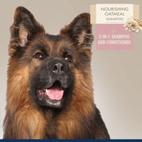 Thumbnail for Four Paws Magic Coat Professional Series Nourishing Oatmeal 2-in-1 Detangling Dog Shampoo and Conditioner, Paraben & Sulfate Free Dog Wash, Almond Vanilla Scent, 16 Ounce