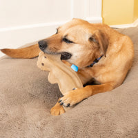 Thumbnail for SPOT Dura-Fused Leather Squirrel Dog Toy – Real Leather & Jute Fabric, Double-Stitched & Durable, Soft Stuffed Squeaky Interactive Chew Toy for Moderate Chewers, Small & Medium Dogs, 8in