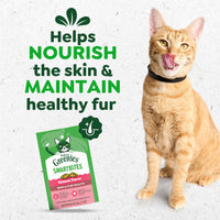 Thumbnail for Greenies Cat Treats, Feline Smartbites, Skin & Fur Health, Crunchy and Soft Cat Treats, Salmon Flavor, 2.1 oz. Pack