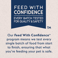 Thumbnail for Natural Balance Limited Ingredient Small Breed Adult Dry Dog Food with Vegan Plant Based Protein and Healthy Grains, Vegetarian Recipe, 4 Pound (Pack of 1)