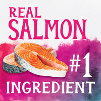 Thumbnail for Triumph Free Spirit Deboned Salmon & Chickpea Recipe Dry Cat Food, 3lb.