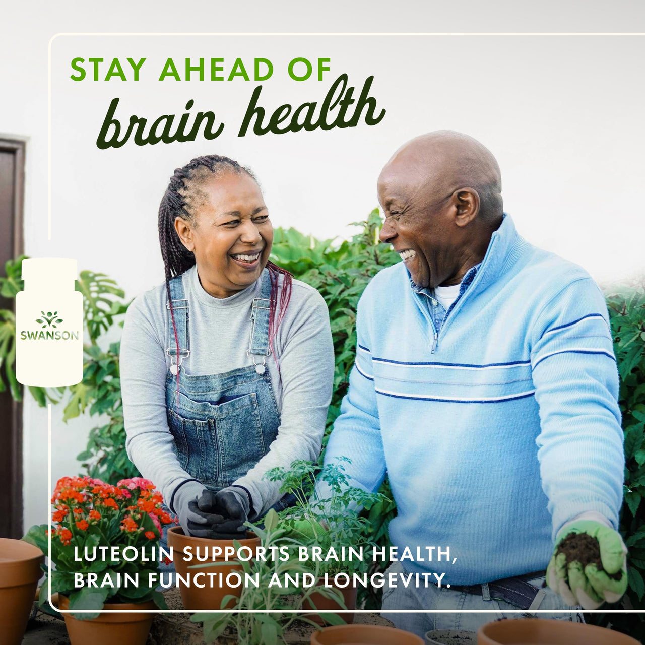Swanson Luteolin Complex w/Rutin - Brain Support Supplement Promoting Memory, Mood & Cognitive Health - Natural Formula to Help Maintain Nervous System - (30 Veggie Capsules)