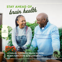 Thumbnail for Swanson Luteolin Complex w/Rutin - Brain Support Supplement Promoting Memory, Mood & Cognitive Health - Natural Formula to Help Maintain Nervous System - (30 Veggie Capsules)