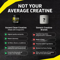 Thumbnail for Ascent Clean Creatine Monohydrate Powder - 5G Per Serving, Creapure Supplement - Unflavored, 45 Servings
