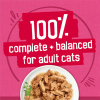 Thumbnail for Purina Friskies Gravy Wet Cat Food Variety Pack, Surfin’ and Turfin’ Prime Filets Favorites - (Pack of 40) 5.5 oz. Cans
