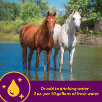 Thumbnail for Farnam Horse Health Apple-Dex Apple Flavored Electrolytes for Horses 5 pound