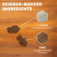Thumbnail for VetriScience Lysine Immunity Health Chews, 250 mg Immune Supplement for Cats and Kittens with Allergies, Sneezing, Runny Nose and Watery Eyes, Chicken, 90 Count