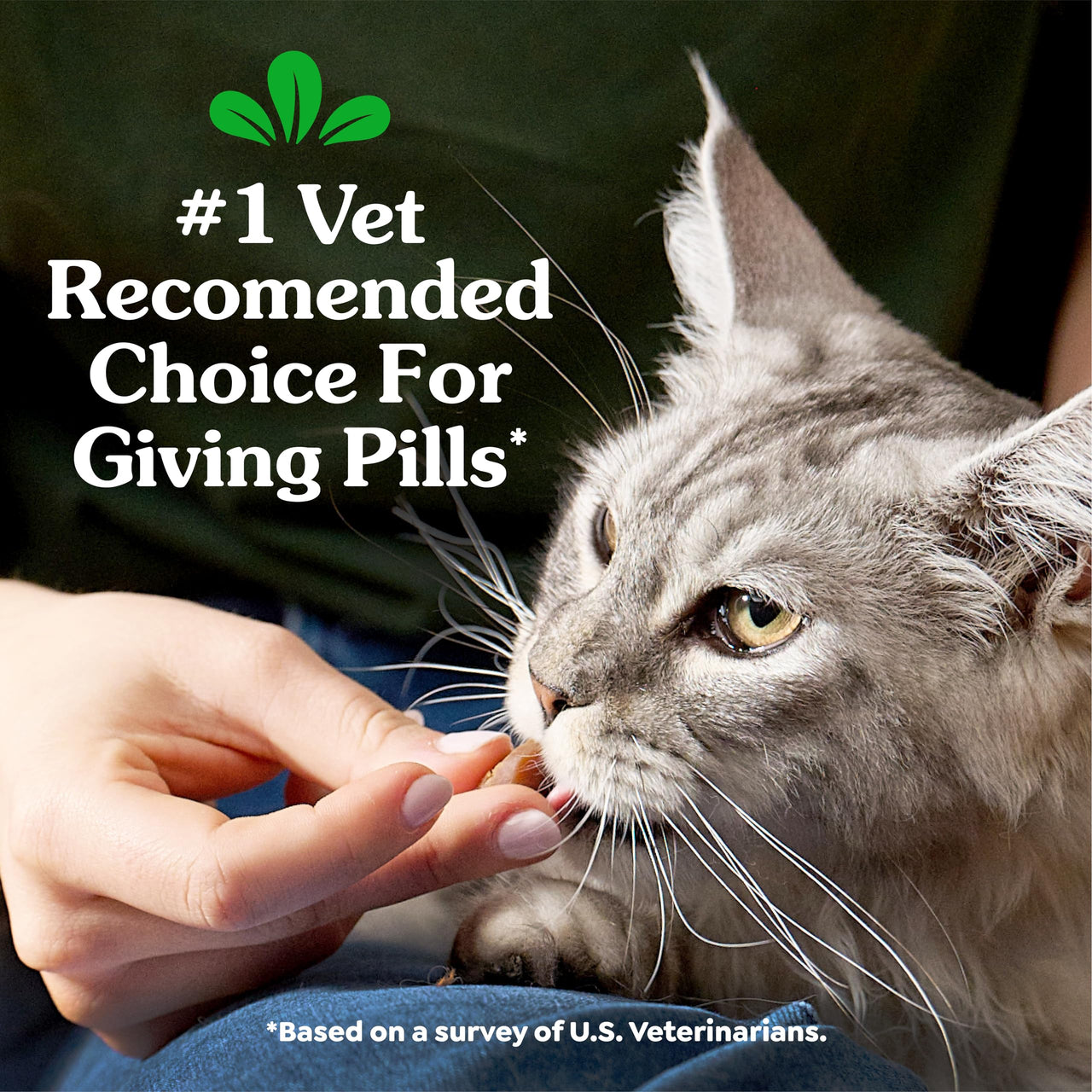 Greenies Feline Pill Pockets for Cats Natural Soft Cat Treats, Chicken Flavor, 1.6 oz. Pouch (45 Treats)