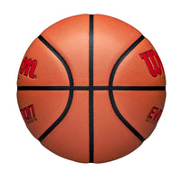 Thumbnail for WILSON Evolution Indoor Game Basketball, Scarlet, Size 7-29.5