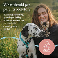 Thumbnail for Veterinary Formula Clinical Care Hot Spot & Itch Relief Medicated Shampoo for Dogs and Cats 16oz – Helps Alleviate Sensitive Skin, Scratching, and Licking of Coat