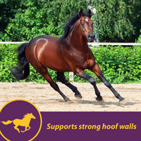 Thumbnail for Horse Health Vita Biotin Crumbles Horse Hoof Supplement, Biotin Supplement Supports Healthy Hoof Growth, Strong Walls, Prevents Cracks & Chipping, 3 lbs, 48-Day Supply