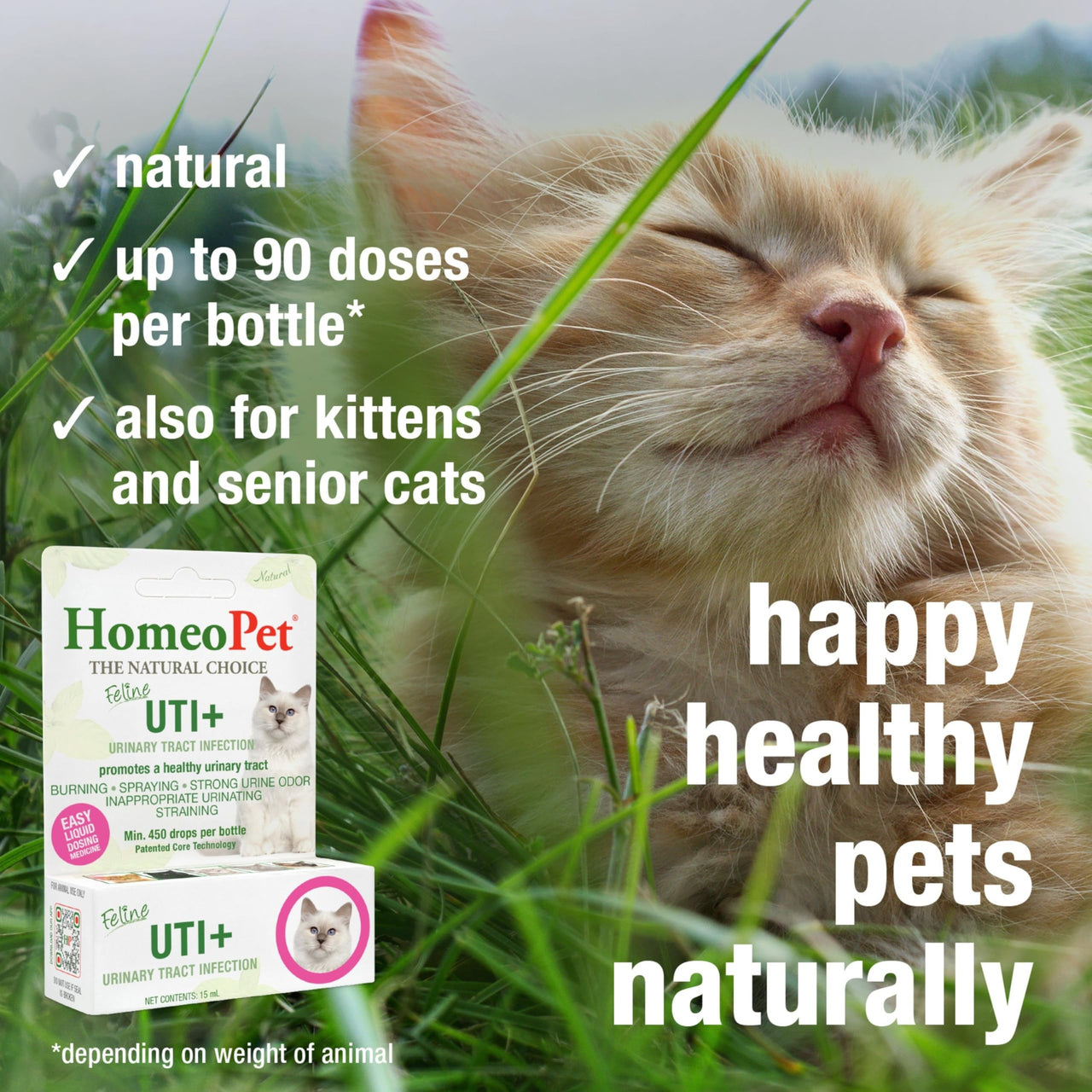 HomeoPet Feline UTI+, Safe and Natural Urinary Tract Supplement for Cats, Feline Urinary Tract Support, 15 Milliliters