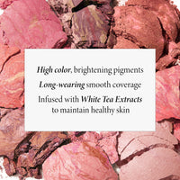Thumbnail for LAURA GELLER NEW YORK Baked Blush-n-Brighten Marbleized Blush + Angled Brush (01 Tropic Hues, 47mm)