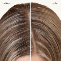 Thumbnail for Pureology Style + Protect Refresh & Go Dry Shampoo | For Oily, Color-Treated Hair | Volumizing & Protective Dry Shampoo | Silicone-Free | Vegan | Updated Packaging | 1.2 Oz. |