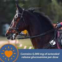 Thumbnail for Farnam MaxFlex XR Extended Release Joint Supplement for Horses, Provides a continuous supply of joint health ingredients for 24 hours, 0.9375 pound, 30 Day Supply