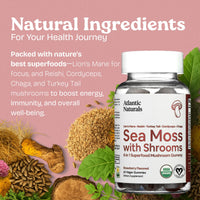 Thumbnail for Atlantic Naturals Sea Moss Gummies with Lions Mane Mushroom | Sea Moss Gel Alternative with Irish Sea Moss Reishi, Cordyceps Chaga & Turkey Tail Supplement | Helps Immunity Energy & Focus | 60 Gummies