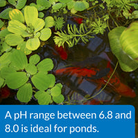 Thumbnail for API POND pH UP Pond Water pH Raising Solution 16-Ounce Bottle