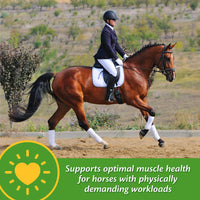 Thumbnail for Farnam Vita-Min E & Selenium Antioxidant Supplement for Horses, Horse Vitamin E Supplement, Muscle Health and Peak Condition, 3 lb, 96 Day Supply