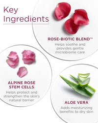 Thumbnail for Image 5 of Andalou Naturals 1000 Roses Biome Balancing Toner Spray (6 fl oz)