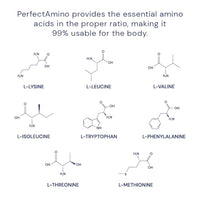 Thumbnail for Image 5 of BodyHealth PerfectAmino 150 ct