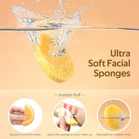 Thumbnail for Image 4 of GAINWELL Compressed Facial Sponges with Storage Container