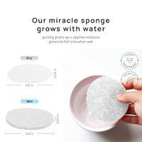 Thumbnail for Image 5 of AOA Studio Compressed Facial Sponges
