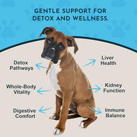 Thumbnail for Image 3 of Animal Essentials Detox Blend Liver Support for Dogs & Cats - 2 fl Oz