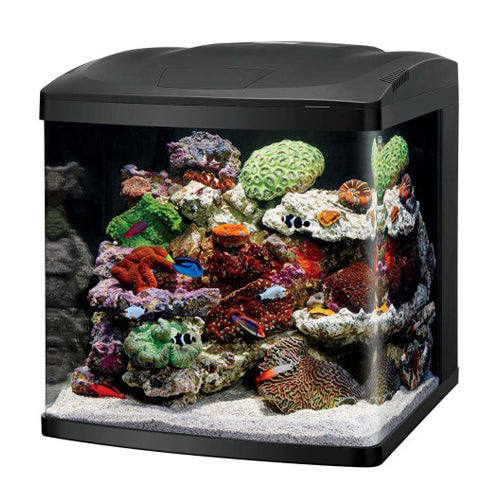 Coralife LED Biocube Marine or Freshwater Aquarium Kit 1 Each/32 by Coralife