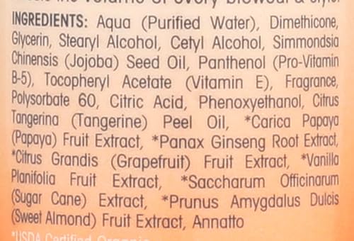 Image 3 of GIOVANNI 2chic Ultra-Volume Leave-In Conditioning & Styling Elixir, 4 oz