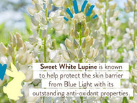 Thumbnail for Image 5 of Babo Botanicals Daily Sheer Tinted Mineral Sunscreen SPF 50 Vegan