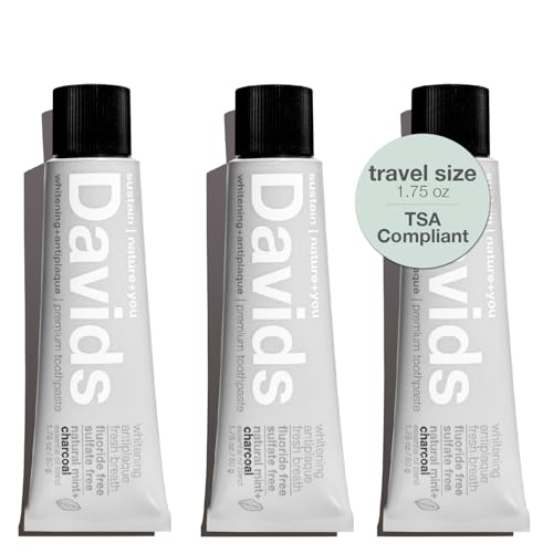 Image 1 of Default Title for the product Davids Whitening Charcoal Travel TSA Approved Peppermint 1.75oz (3 Pack)