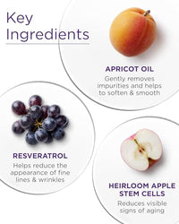 Thumbnail for Image 5 of Andalou Naturals Age Defying Apricot Probiotic Cleansing Milk (6 fl oz)