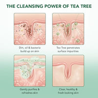 Thumbnail for Image 6 of Botanic Hearth Tea Tree Body Wash with Silicone Body Brush - 16 fl oz