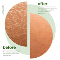 Thumbnail for Image 3 of Artnaturals Tea Tree Body Wash, 12 fl oz