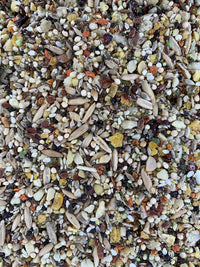 Thumbnail for Goldenfeast VL Patagonian Blend, 3 lb Bag