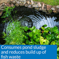 Thumbnail for API POND-ZYME SLUDGE DESTROYER Pond Cleaner With Natural Pond Bacteria And Barley, 8oz container (146)