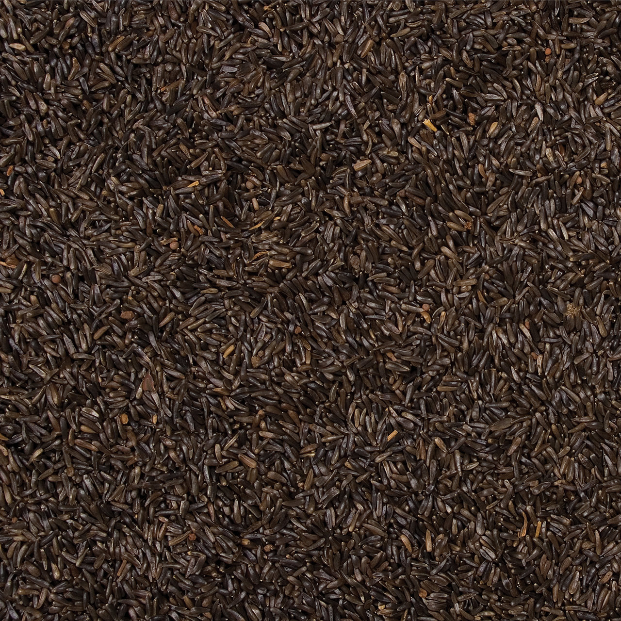 Wild Delight Nyjer Seed, 5 lb