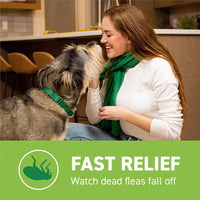 Thumbnail for Capstar for Dogs (nitenpyram), Fast-Acting Oral Flea Treatment for Dogs Over 25+ lbs, Vet-Recommended Flea Medication Tablets Start Killing in 30 Minutes, 6 Doses
