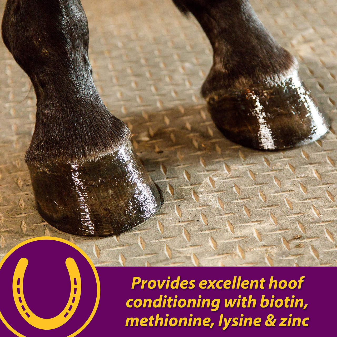 Horse Health Joint Combo Hoof & Coat, Glucosamin, Chrondroitin, Vitamin C, MSM, Biotin, Lysine, ZInc, Omega 3 and 6 Fatty Acids, 64 day supply