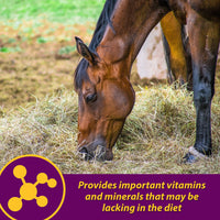 Thumbnail for Farnam Horse Health Red Cell Pellets, Vitamin-Iron-Mineral Supplement for Horses, Helps Fill Important Nutritional Gaps in Horse's Diet, 4 lbs., 64-Day Supply