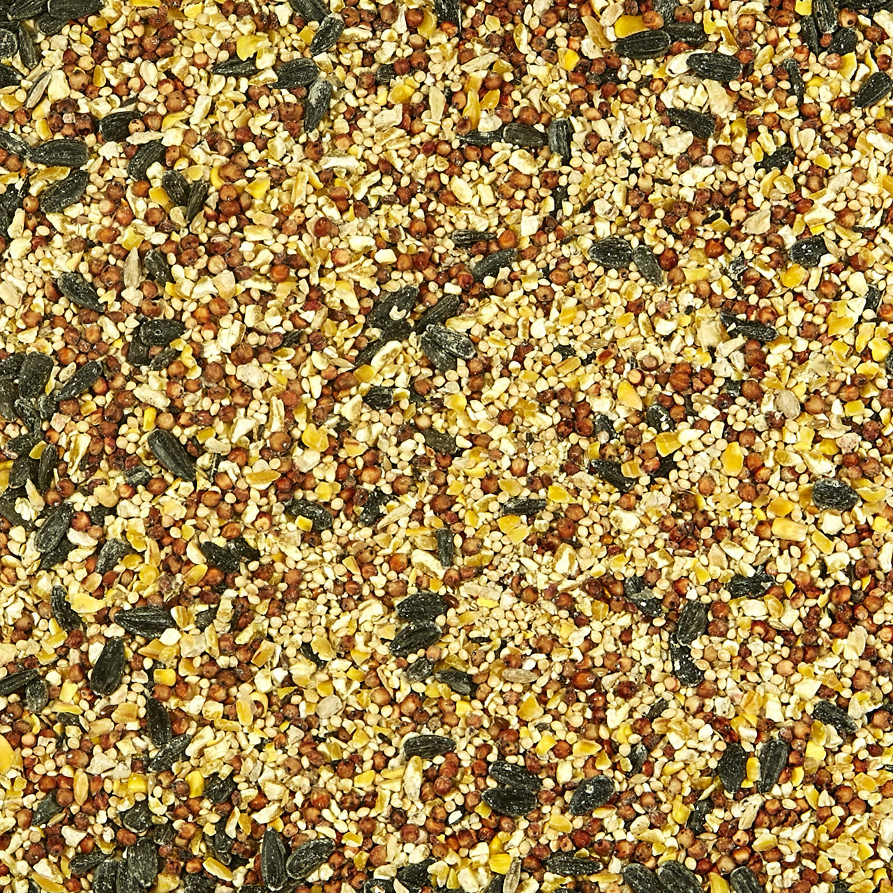 Kaytee All American Wild Bird Food Seed Blend for Cardinals, Blue Jays, Finches & Other Outdoor Wild Birds, 5 Pounds