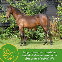 Thumbnail for Farnam Grow Colt Supplement for Growth & Development, Supports Normal, consistent Growth in First Years of foal's Life, 3.75 lbs., 30 Day Supply
