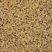 Thumbnail for Kaytee Supreme Canary & Finch Food 2lb