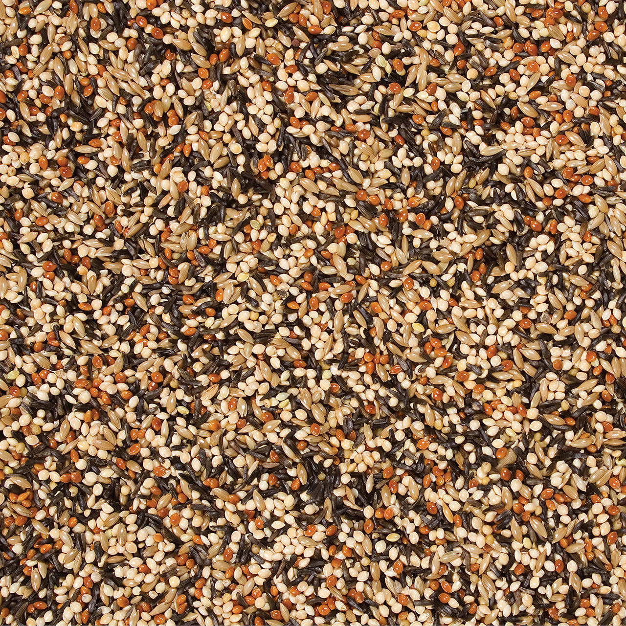 Wild Delight Outdoor Finch Food, 5 lb