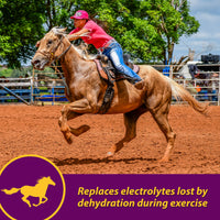 Thumbnail for Farnam Horse Health Apple-Dex Apple Flavored Electrolytes for Horses 5 pound