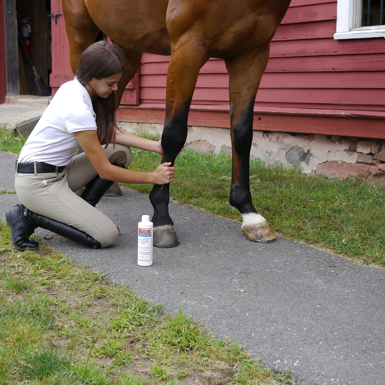 Absorbine Bigeloil Liniment Gel, Refreshing Topical Rub for Sore Muscles, 14 Fluid Ounce Bottle