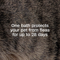 Thumbnail for ADAMS Plus Flea & Tick Foaming Shampoo & Wash for Dogs & Puppies, Flea Shampoo to Treat Flea Infestations, Kills Ticks, Fleas, Flea Eggs & Lice, Cleans and Conditions Coat, 10 Ounces