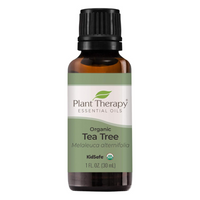 Thumbnail for Plant Therapy Organic Tea Tree Essential Oil