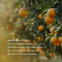 Thumbnail for Image 4 of A LA MAISON French Liquid Hand Soap, Citrus Blossom (16.9 oz, 2 Pack)